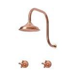  Sen vòi ngoài trời gắn tường bằng đồng (copper) - Browil 