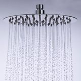  Sen cây ngoài trời 316 marine grade stainless steel - Hymimi 