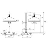  Sen cây gắn tường bát sen Ø220mm cổ điển bằng đồng Italica Leve - 3283-301-314A-220 