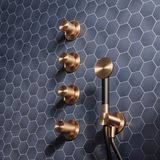  Sen cầm tay gắn tường phong cách spa Radomonte Wellness stainless steel - K20 