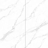  Venus White (Calacatta) 12mm - MN086AP321612 