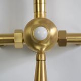  Sen cây ngoài trời bằng đồng thau (brass) - Proadu 