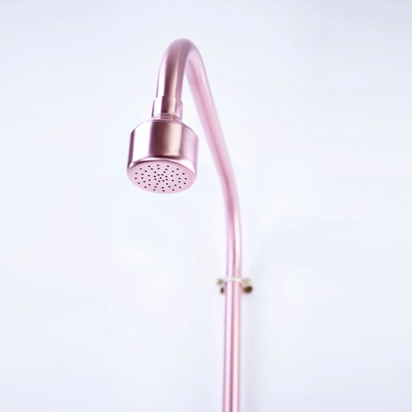  Sen cây ngoài trời bằng đồng (copper) - Proair 