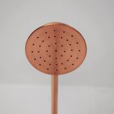  Sen cây ngoài trời bằng đồng (copper) - Proan 