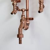  Sen cây ngoài trời bằng đồng (copper) - Proan 