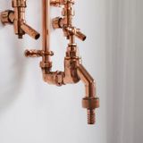  Sen cây ngoài trời bằng đồng (copper) - Proan 