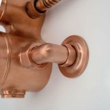  Van điều chỉnh nhiệt độ 2 đầu ra cho sen ngoài trời bằng đồng - Procopper 