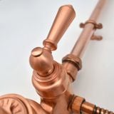  Van điều chỉnh nhiệt độ 2 đầu ra cho sen ngoài trời bằng đồng - Procopper 