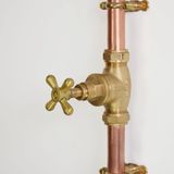  Sen cây gắn tường ngoài trời chỉ có nước lạnh bằng đồng (copper) - Proiri 