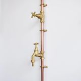  Sen cây gắn tường ngoài trời chỉ có nước lạnh bằng đồng (copper) - Proiri 