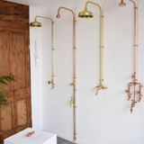  Sen cây gắn tường ngoài trời chỉ có nước lạnh bằng đồng (copper) - Proiri 