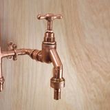 Sen cây gắn tường ngoài trời chỉ có nước lạnh bằng đồng (copper) - Projar 