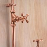 Sen cây gắn tường ngoài trời chỉ có nước lạnh bằng đồng (copper) - Projar 