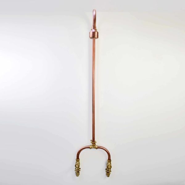  Sen cây gắn tường ngoài trời bằng đồng (copper) - Prokam 