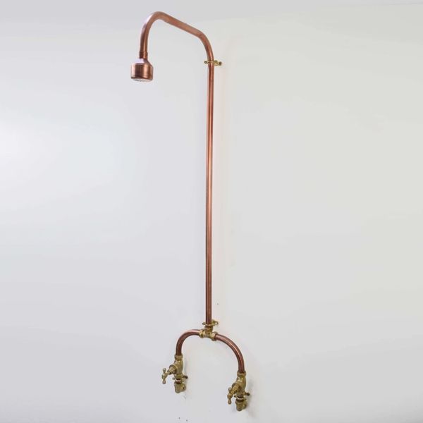  Sen cây gắn tường ngoài trời bằng đồng (copper) - Prokam 