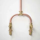  Sen cây gắn tường ngoài trời bằng đồng (copper) - Prokam 