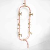  Sen cây gắn tường ngoài trời bằng đồng - Prokan 