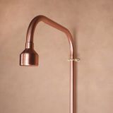  Sen cây gắn tường ngoài trời bằng đồng (copper) - Prolam 