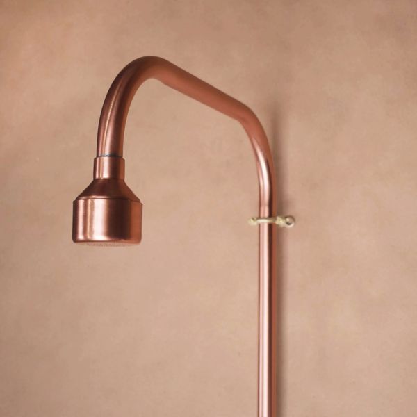  Sen cây gắn tường ngoài trời bằng đồng (copper) - Prolam 