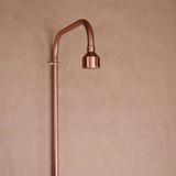  Sen cây gắn tường ngoài trời bằng đồng (copper) - Prolam 