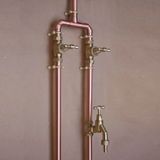  Sen cây gắn tường ngoài trời bằng đồng (copper) - Prolam 