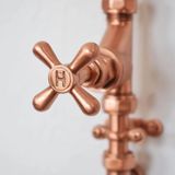  Sen cây ngoài trời bằng đồng (copper) - Prolur 