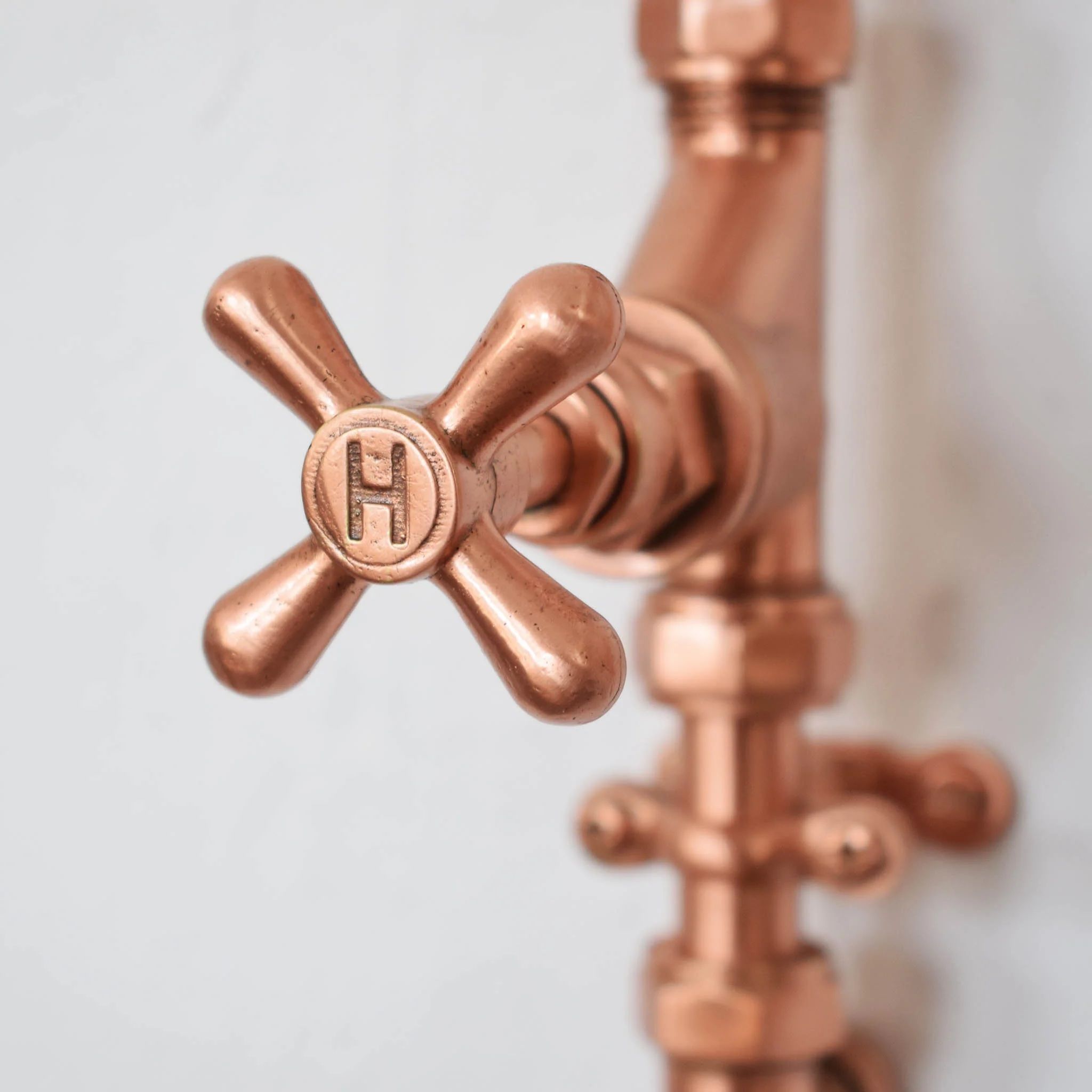  Sen cây ngoài trời bằng đồng (copper) - Prolur 