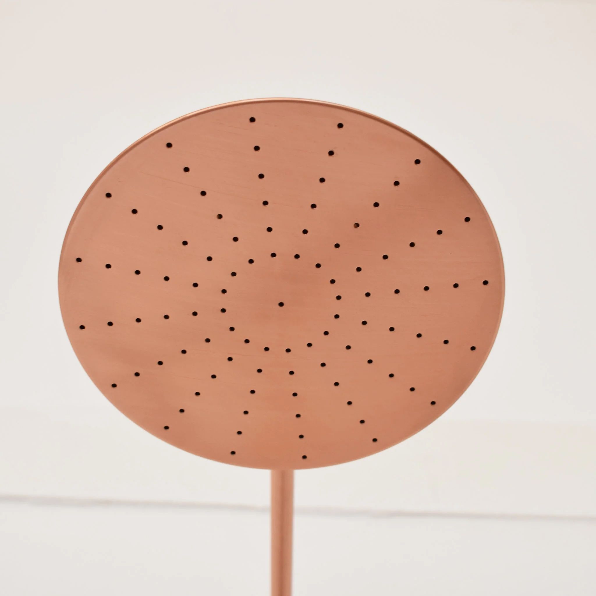  Sen cây ngoài trời bằng đồng (copper) - Prolur 