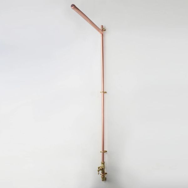  Sen cây gắn tường ngoài trời chỉ có nước lạnh bằng đồng - Prolym 