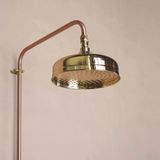  Sen cây ngoài trời bằng đồng (copper) - Promar 