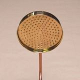  Sen cây ngoài trời bằng đồng (copper) - Promar 