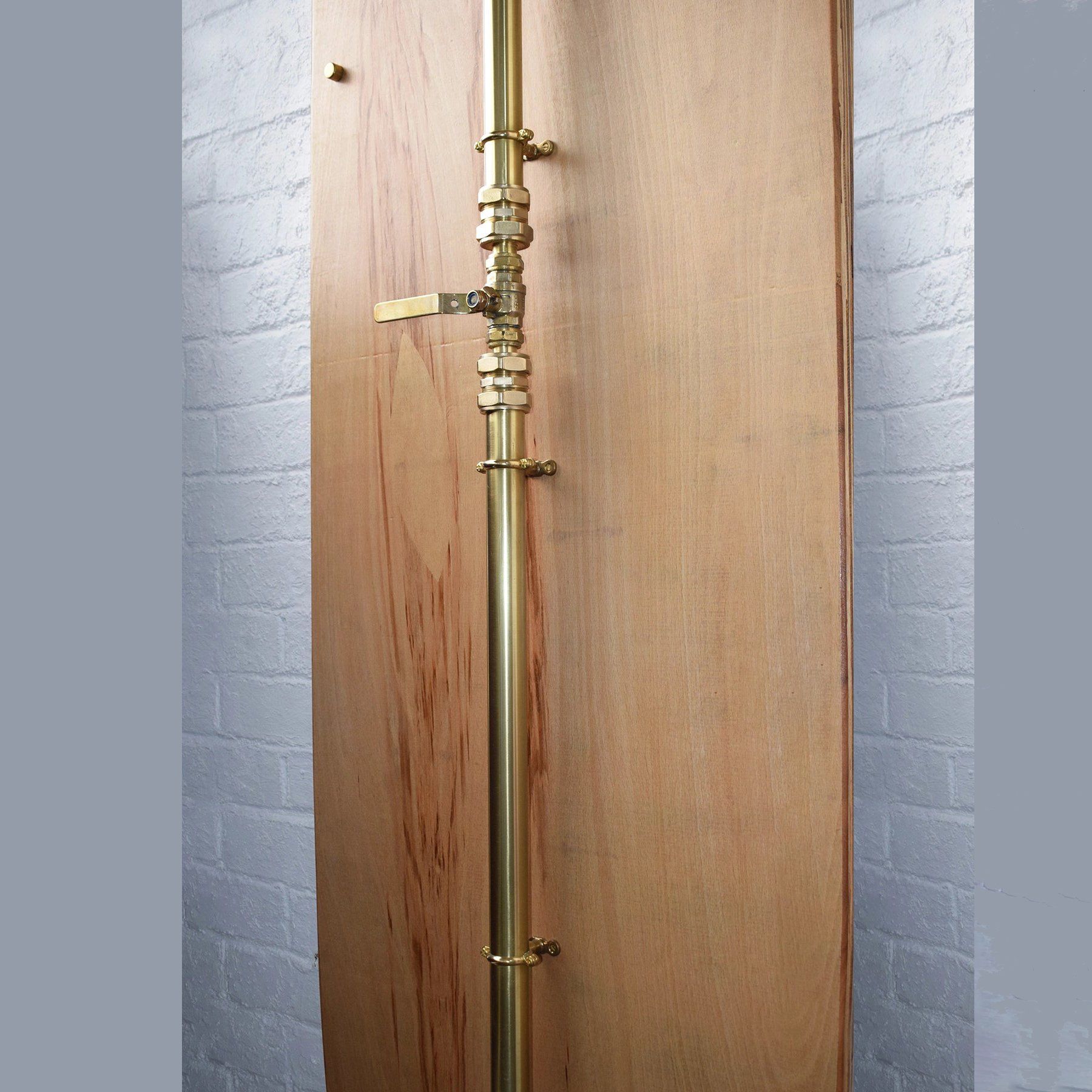  Sen cây gắn tường ngoài trời chỉ có nước lạnh bằng đồng thau (brass) - Pronau 