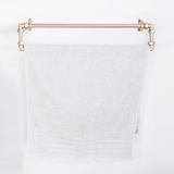  Thanh đôi treo khăn tắm 50cm bằng đồng - Prorail Dus 