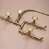  Sen cây ngoài trời bằng đồng thau (brass) - Proriv 