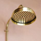  Sen cây ngoài trời bằng đồng thau (brass) - Proriv 
