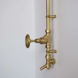  Sen cây gắn tường ngoài trời chỉ có nước lạnh bằng đồng thau (brass) - Prosan 