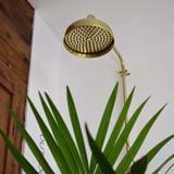  Sen cây gắn tường ngoài trời chỉ có nước lạnh bằng đồng thau (brass) - Prosan 