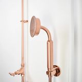  Sen cây ngoài trời bằng đồng (copper) - Prosed 