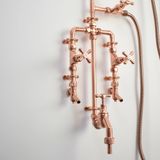  Sen cây ngoài trời bằng đồng (copper) - Prosed 
