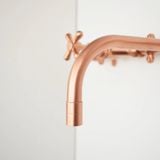 Vòi chậu lavabo gắn tường bằng đồng - Protapfar 