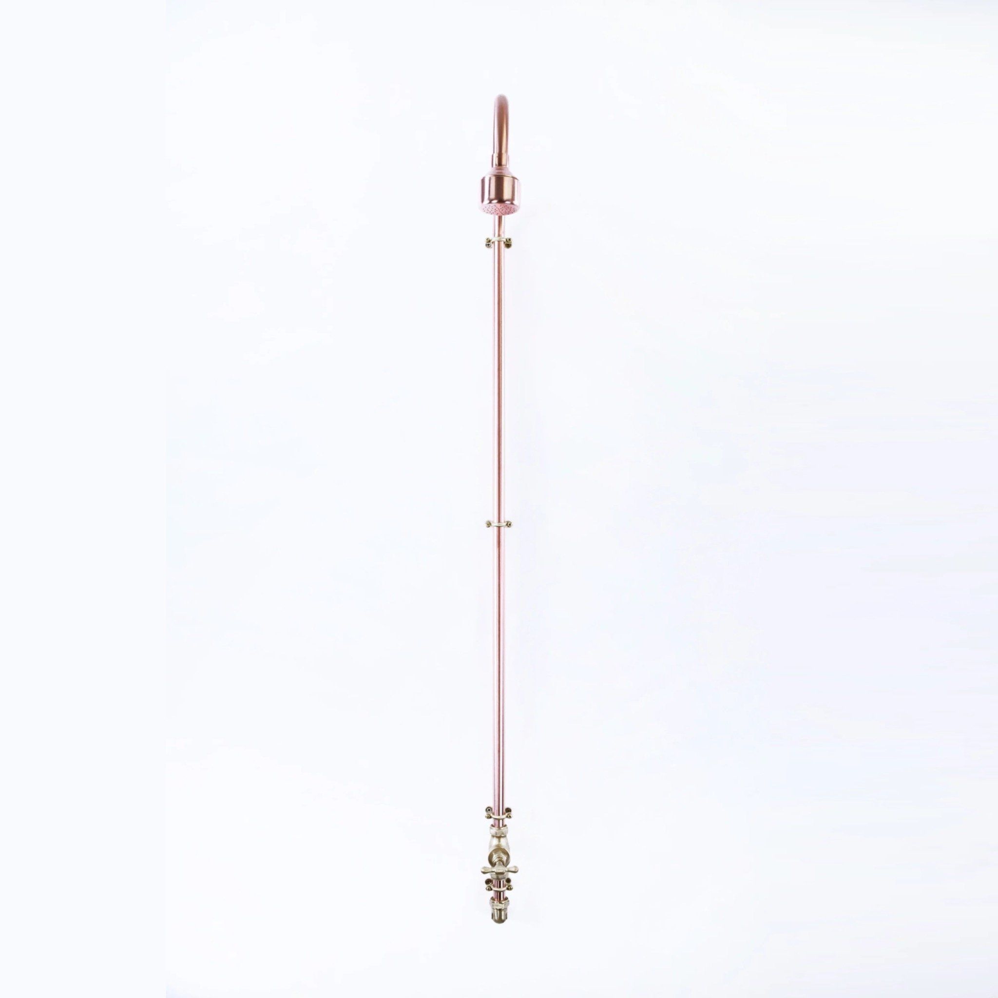 Sen cây gắn tường ngoài trời chỉ có nước lạnh bằng đồng (copper) - Protev 