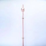  Sen cây gắn tường ngoài trời chỉ có nước lạnh bằng đồng (copper) - Protev 
