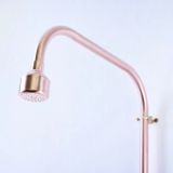  Sen cây gắn tường ngoài trời chỉ có nước lạnh bằng đồng (copper) - Protev 