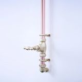  Sen cây gắn tường ngoài trời chỉ có nước lạnh bằng đồng (copper) - Protev 
