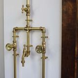  Sen cây ngoài trời bằng đồng thau (brass) - Prothi 