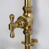  Sen cây ngoài trời bằng đồng thau (brass) - Prothi 