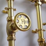  Sen cây ngoài trời bằng đồng thau (brass) - Prothi 