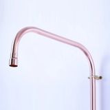  Sen cây gắn tường ngoài trời chỉ có nước lạnh bằng đồng (copper) - Protic 