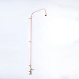  Sen cây gắn tường ngoài trời chỉ có nước lạnh bằng đồng (copper) - Protic 