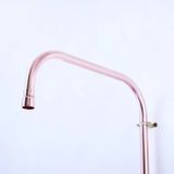 Sen cây gắn tường ngoài trời chỉ có nước lạnh bằng đồng (copper) - Protic 